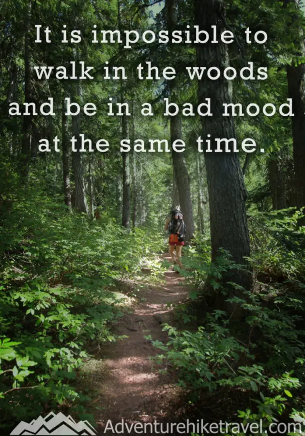 It is impossible to walk in the woods and be in a bad mood at the same time.