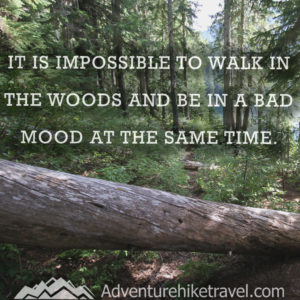 20 Inspirational Hiking Quotes To Fuel Your Wanderlust - Adventure Hike ...