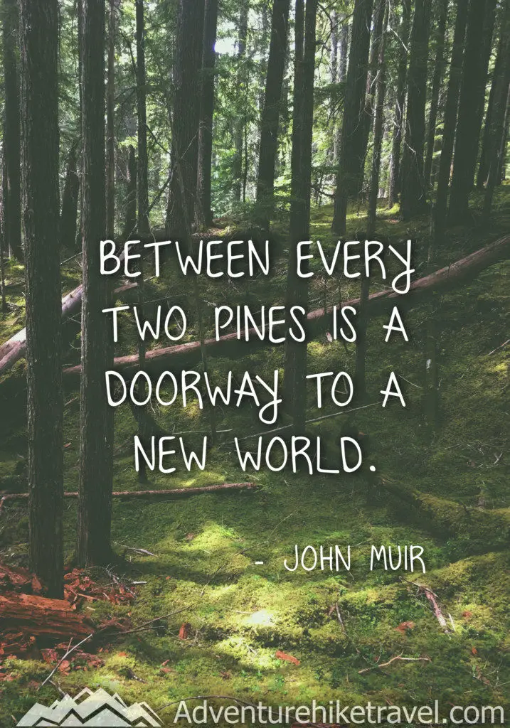 25 JOHN MUIR QUOTES TO INSPIRE WANDERLUST - Adventure Hike Travel