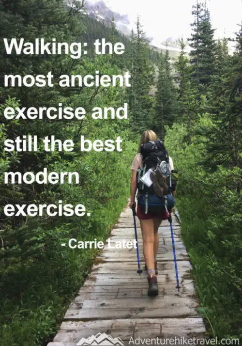 25 Hiking Quotes To Inspire Your Next Daring Adventure Adventure Hike Travel 0113