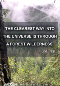 35 John Muir Quotes to Stoke Your Love for the Peaks - Adventure Hike ...