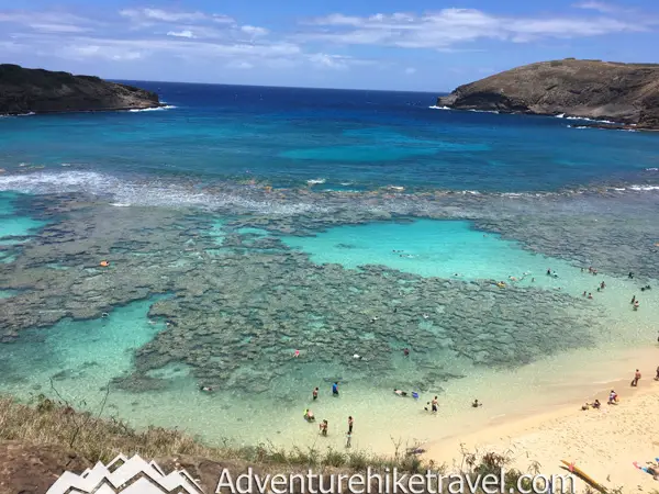 Discover the best beaches to spot Hawaiian green sea turtles on Oahu! From Laniakea Beach to Kailua Beach, these honu hotspots offer incredible opportunities to see these majestic creatures up close. Perfect for wildlife enthusiasts and beach lovers alike, don't miss out on these must-visit locations. Grab your reef-safe sunscreen and snorkeling gear, and dive into the adventure! #Oahu #SeaTurtles #Honu #Hawaii #TravelTips #Wildlife