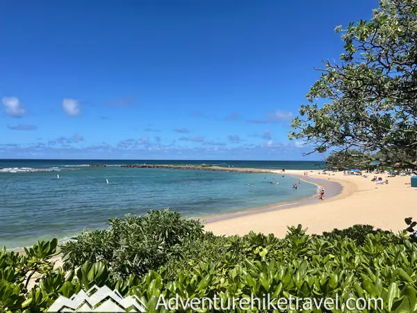 Discover the best beaches to spot Hawaiian green sea turtles on Oahu! From Laniakea Beach to Kailua Beach, these honu hotspots offer incredible opportunities to see these majestic creatures up close. Perfect for wildlife enthusiasts and beach lovers alike, don't miss out on these must-visit locations. Grab your reef-safe sunscreen and snorkeling gear, and dive into the adventure! #Oahu #SeaTurtles #Honu #Hawaii #TravelTips #Wildlife