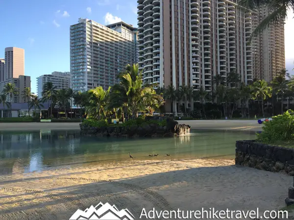 Top 15 Things To Do For Free in Waikiki