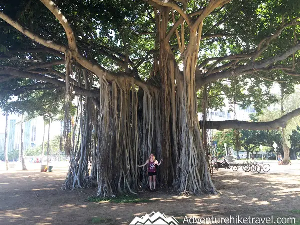 Top 15 Things To Do For Free in Waikiki