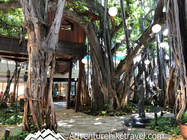 Top 15 Things To Do For Free in Waikiki