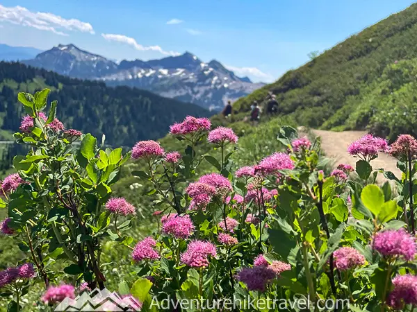 Step into adventure on Mount Rainier’s Skyline Trail! Panorama Point offers unbeatable views, wildflowers, and glaciers on this unforgettable hike. Perfect for your next outdoor escape! 🌲🏔️ #SkylineTrail #PNWAdventures #ExploreMountains