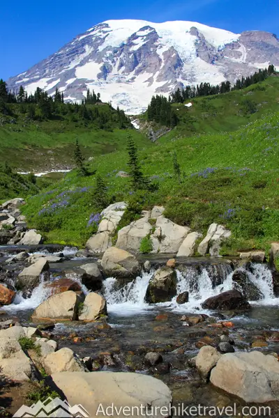 The Skyline Trail to Panorama Point at Mount Rainier is the perfect hike for stunning views and fresh mountain air. Take in the glaciers and meadows on this must-do 5.5-mile trek! 🏔️🌲 #SkylineTrail #PNWAdventure #HikingInNature