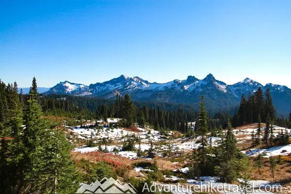 Ready for a scenic adventure? Hike the Skyline Trail to Panorama Point at Paradise, Mount Rainier. With sweeping mountain views, wildlife sightings, and fields of wildflowers, it’s a paradise for hikers! 🏞🌼 #MountRainier #PNWHikes #AdventureTime