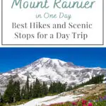 Experience the Best of Mount Rainier in Just One Day! Discover top hikes and scenic stops that make for an unforgettable day trip. Perfect for adventure seekers and nature lovers alike!