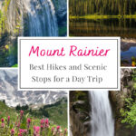 Ultimate Day Trip to Mount Rainier! Discover the best trails and picturesque stops for a day filled with adventure. Don’t miss these hidden gems on your visit!