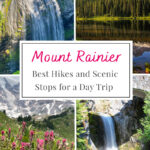 Hit the Highlights of Mount Rainier in One Day! Check out our guide for the best hikes and scenic views that will leave you in awe of this natural wonder. Perfect for a quick getaway!