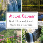 Hit the Highlights of Mount Rainier in One Day! Check out our guide for the best hikes and scenic views that will leave you in awe of this natural wonder. Perfect for a quick getaway!