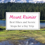 Ultimate Day Trip to Mount Rainier! Discover the best trails and picturesque stops for a day filled with adventure. Don’t miss these hidden gems on your visit!