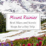 Ultimate Day Trip to Mount Rainier! Discover the best trails and picturesque stops for a day filled with adventure. Don’t miss these hidden gems on your visit!