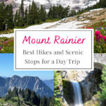 Ultimate Day Trip to Mount Rainier! Discover the best trails and picturesque stops for a day filled with adventure. Don’t miss these hidden gems on your visit!