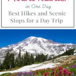 Experience the Best of Mount Rainier in Just One Day! Discover top hikes and scenic stops that make for an unforgettable day trip. Perfect for adventure seekers and nature lovers alike!