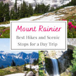 Experience the Best of Mount Rainier in Just One Day! Discover top hikes and scenic stops that make for an unforgettable day trip. Perfect for adventure seekers and nature lovers alike!