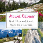 Experience the Best of Mount Rainier in Just One Day! Discover top hikes and scenic stops that make for an unforgettable day trip. Perfect for adventure seekers and nature lovers alike!