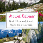 Plan Your Perfect Day at Mount Rainier! This guide highlights the must-see hikes and breathtaking viewpoints, ensuring you make the most of your visit to this iconic national park.