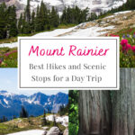 Plan Your Perfect Day at Mount Rainier! This guide highlights the must-see hikes and breathtaking viewpoints, ensuring you make the most of your visit to this iconic national park.