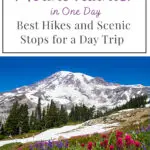 Experience the Best of Mount Rainier in Just One Day! Discover top hikes and scenic stops that make for an unforgettable day trip. Perfect for adventure seekers and nature lovers alike!