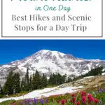 Plan Your Perfect Day at Mount Rainier! This guide highlights the must-see hikes and breathtaking viewpoints, ensuring you make the most of your visit to this iconic national park.