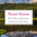 Ultimate Day Trip to Mount Rainier! Discover the best trails and picturesque stops for a day filled with adventure. Don’t miss these hidden gems on your visit!