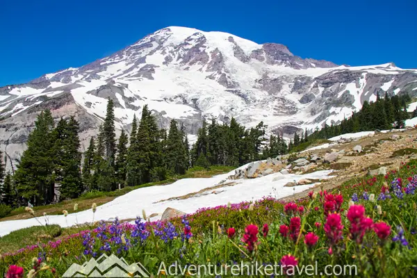 The Skyline Trail to Panorama Point at Mount Rainier is the perfect hike for stunning views and fresh mountain air. Take in the glaciers and meadows on this must-do 5.5-mile trek! 🏔️🌲 #SkylineTrail #PNWAdventure #HikingInNature