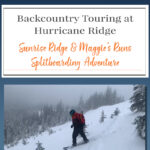 Epic Backcountry Adventure at Hurricane Ridge! Looking for an unforgettable ski or splitboard tour in Olympic National Park? We tackled Sunrise & Maggie’s at Hurricane Ridge, and I’m sharing our route, key trail details, and mistakes to avoid. Get tips for maximizing your ride time, plus our exact GPX track! 🏔️❄️ #BackcountrySkiing #Splitboarding #HurricaneRidge