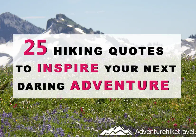 25 John Muir Quotes To Inspire Wanderlust Adventure Hike Travel 2542